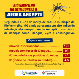 AEDES AEGYPTI: Rio Vermelho têm alto índice de infestação do mosquito